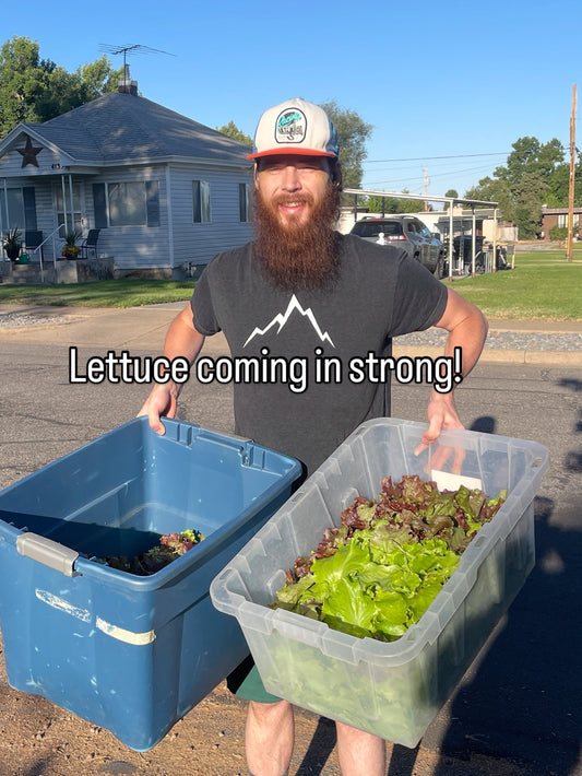 Faircrest Farms Harvest News - August 13, 2025
