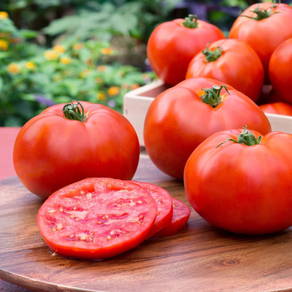 Tomatoes
