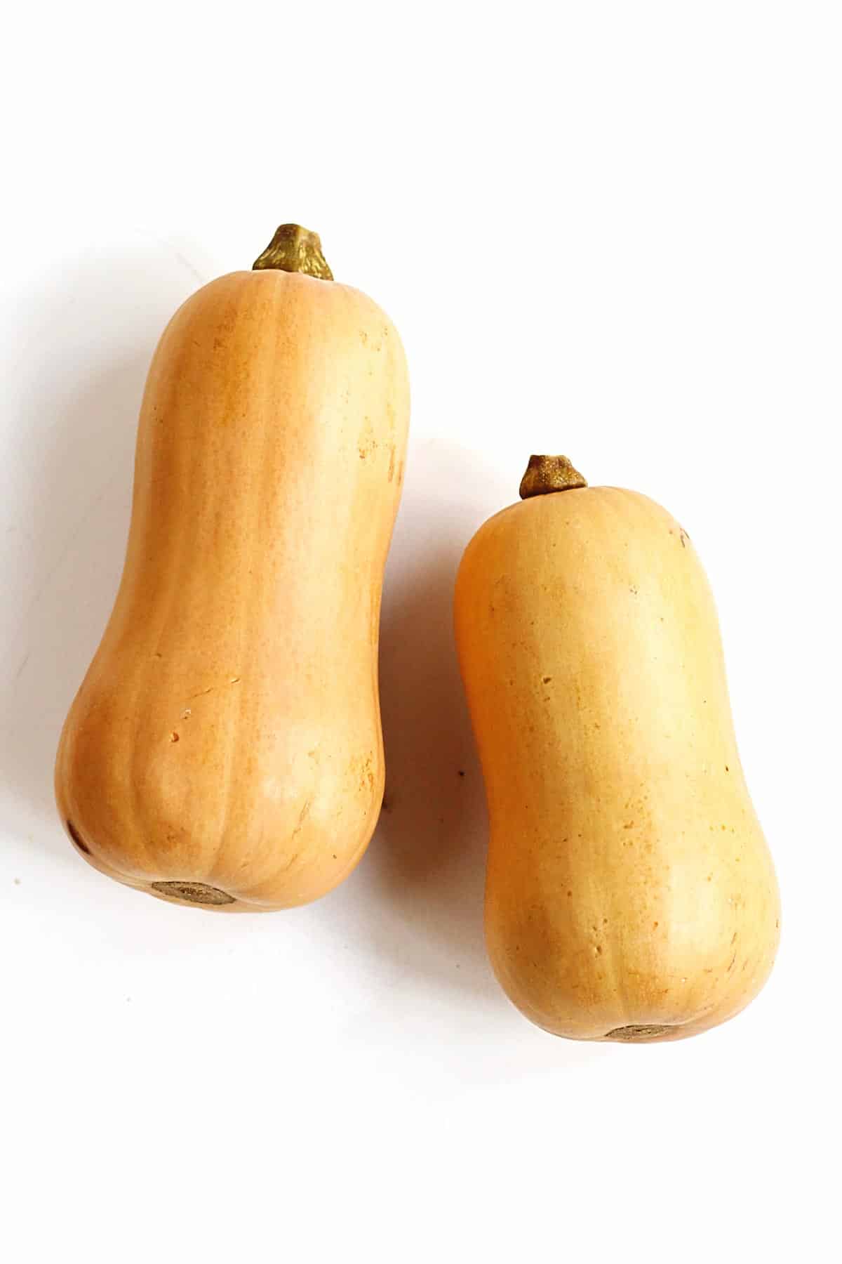 Squash (ea)