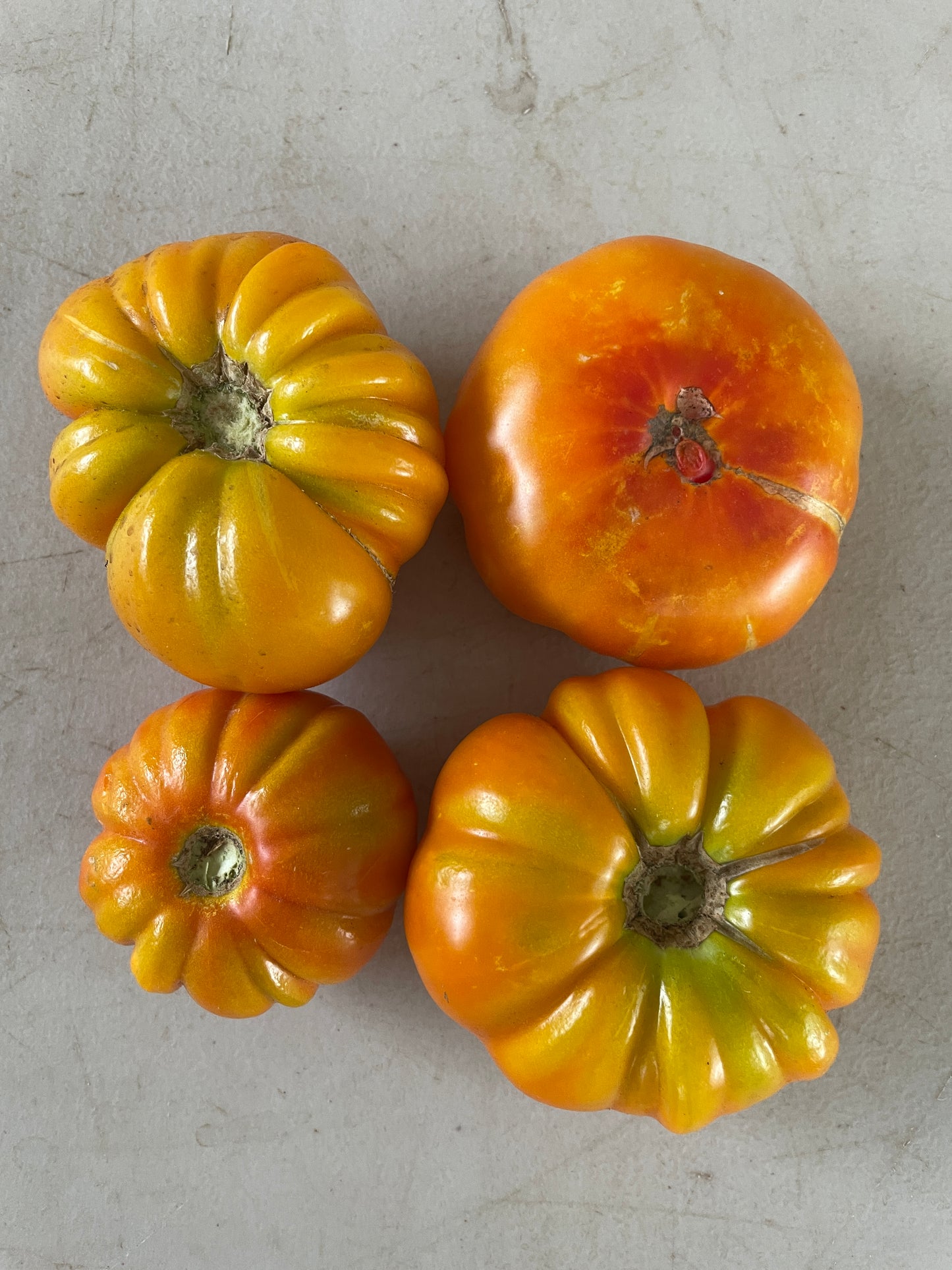 Tomatoes