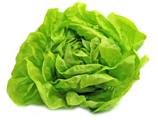 Lettuce (8 oz)