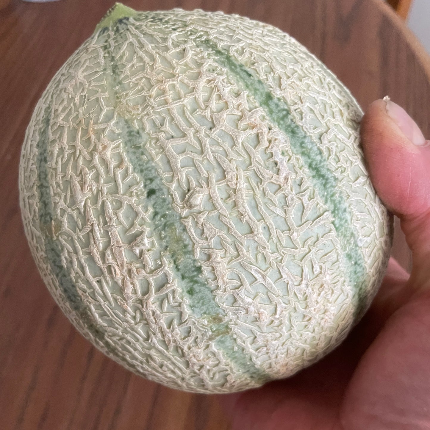 Cantaloupe (ea)- Charentais