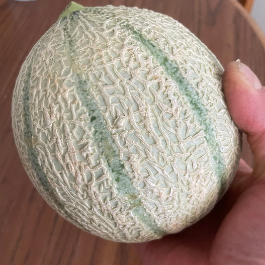 Cantaloupe (ea)- Charentais