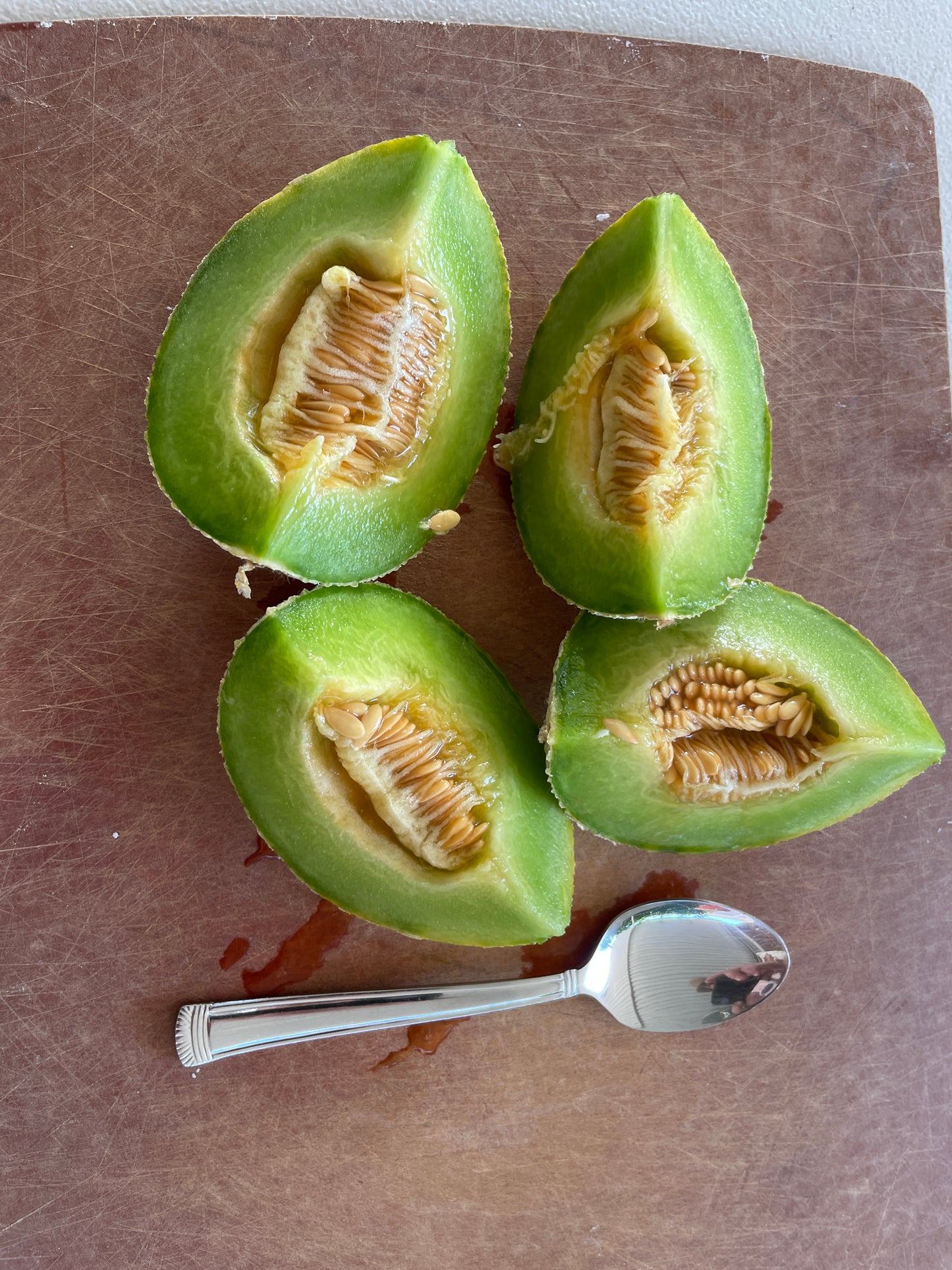 Green Nutmeg melon
