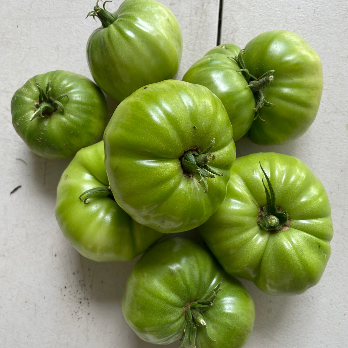 Tomatoes