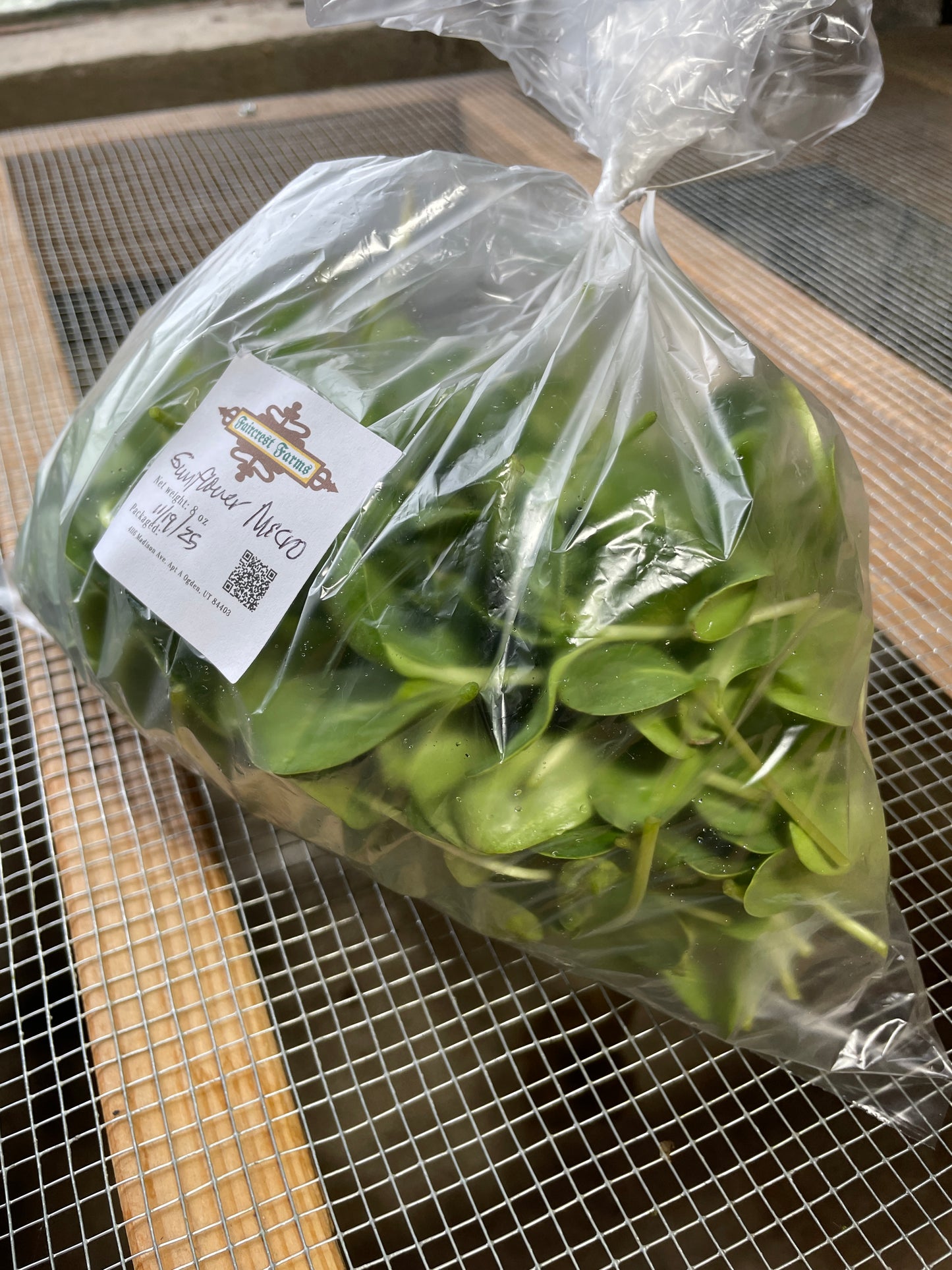 Sunflower Microgreens (4 oz)