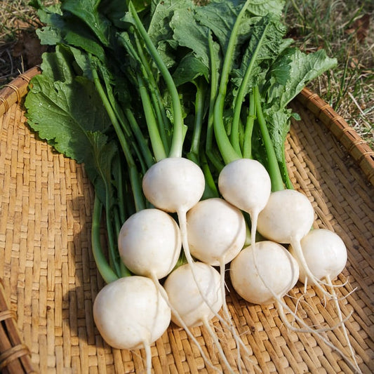 Turnips (Toyko) (per lb)