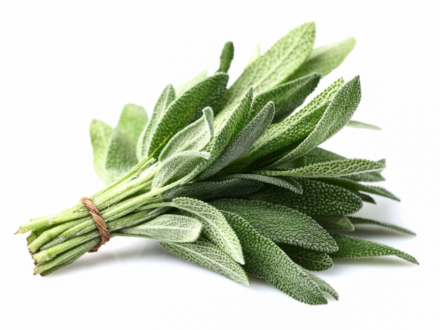 Sage (1 oz)