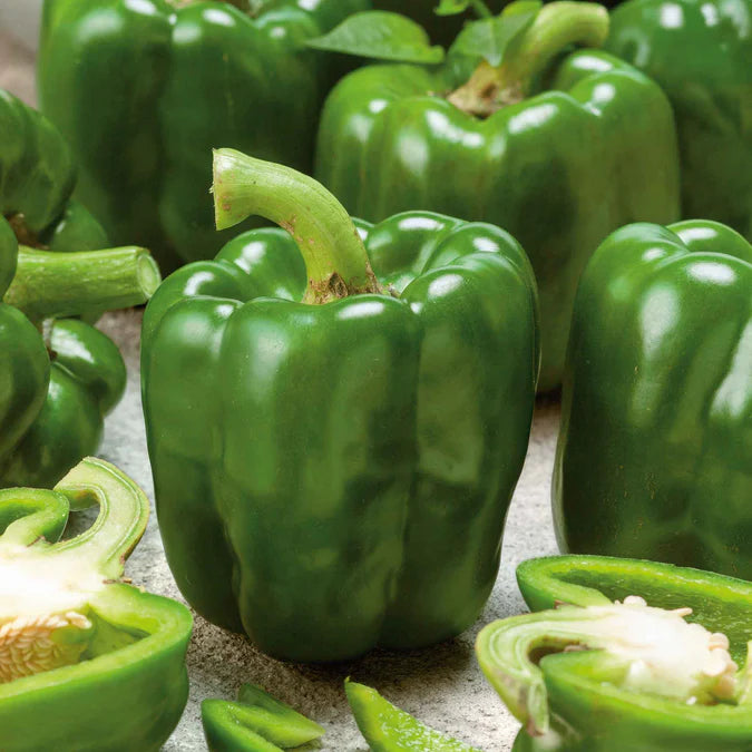 Pepper (Sweet Green bell) (8 oz)