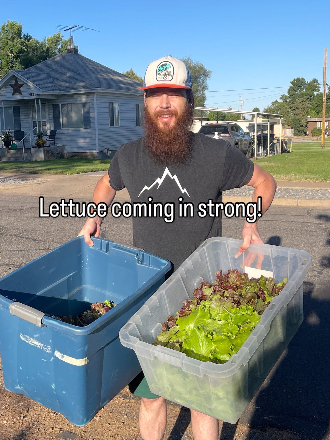 Faircrest Farms Harvest News - August 13, 2025