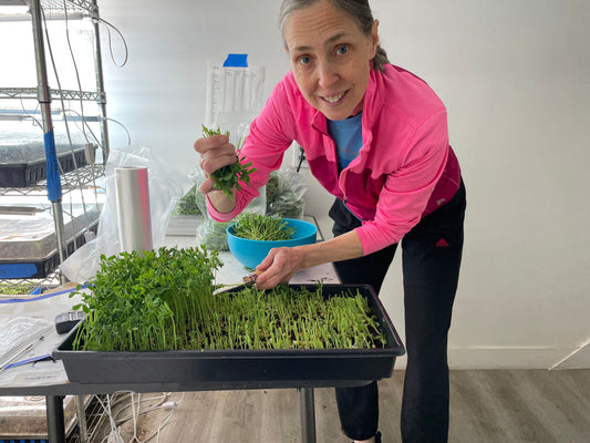 Faircrest Farms Harvest News - March 18, 2026