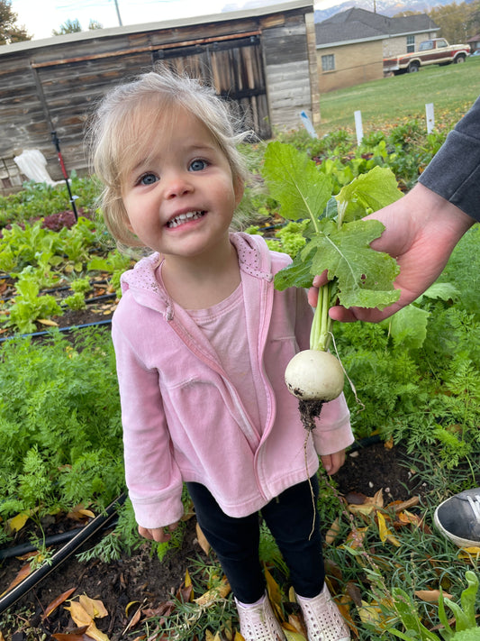 Faircrest Farms Harvest News - October 29, 2025