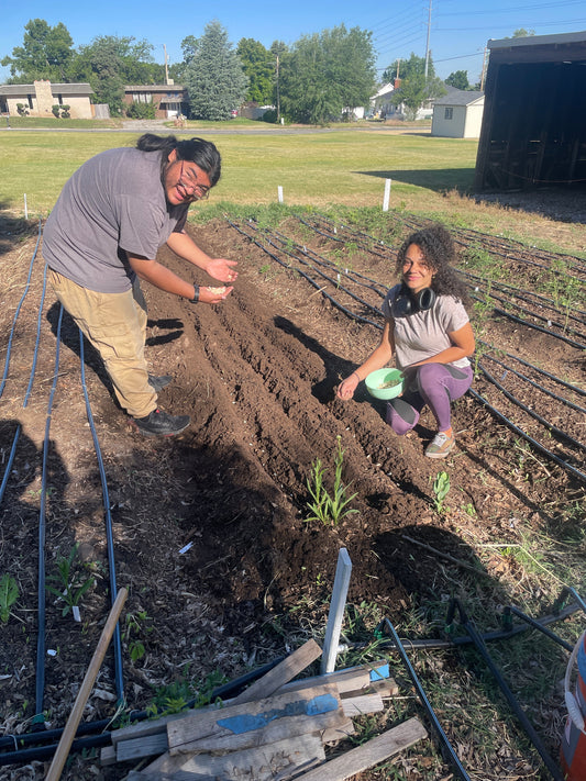 Faircrest Farms Harvest News - June 10, 2026