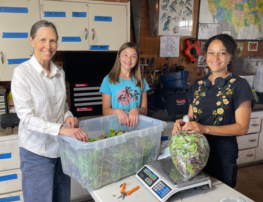 Faircrest Farms Harvest News - June 17, 2026