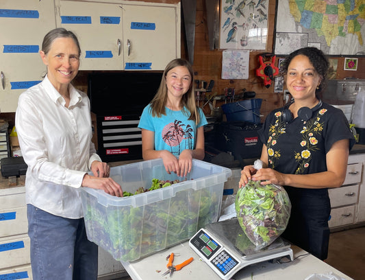 Faircrest Farms Harvest News - June 17, 2026