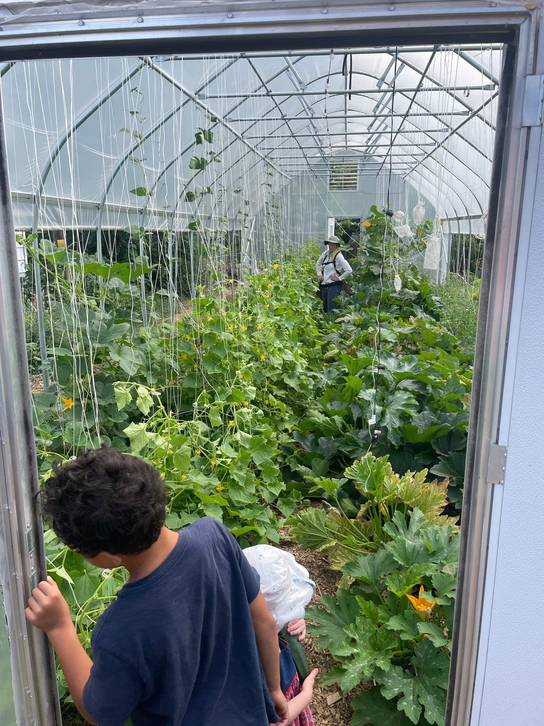 Faircrest Farms Harvest News - July 8, 2026
