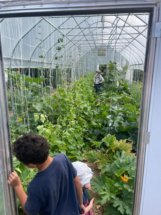 Faircrest Farms Harvest News - July 8, 2026