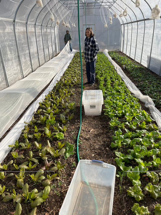 Faircrest Farms Harvest News - December 31, 2025
