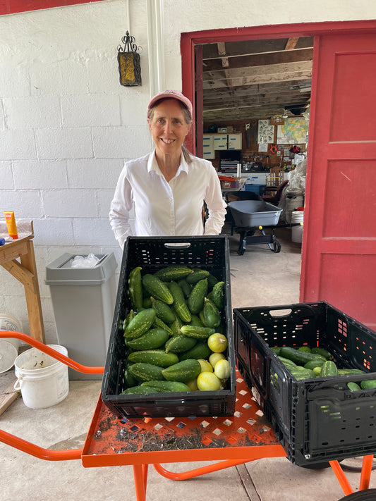 Faircrest Farms Harvest News - August 19, 2026