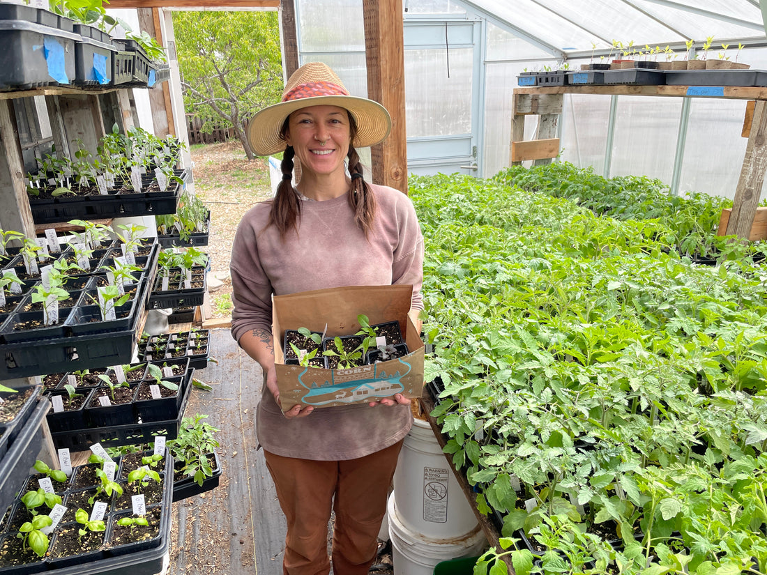 Faircrest Farms Harvest News - April 22, 2026