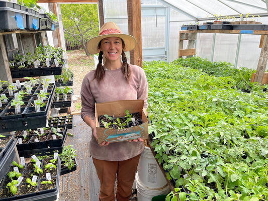 Faircrest Farms Harvest News - April 22, 2026