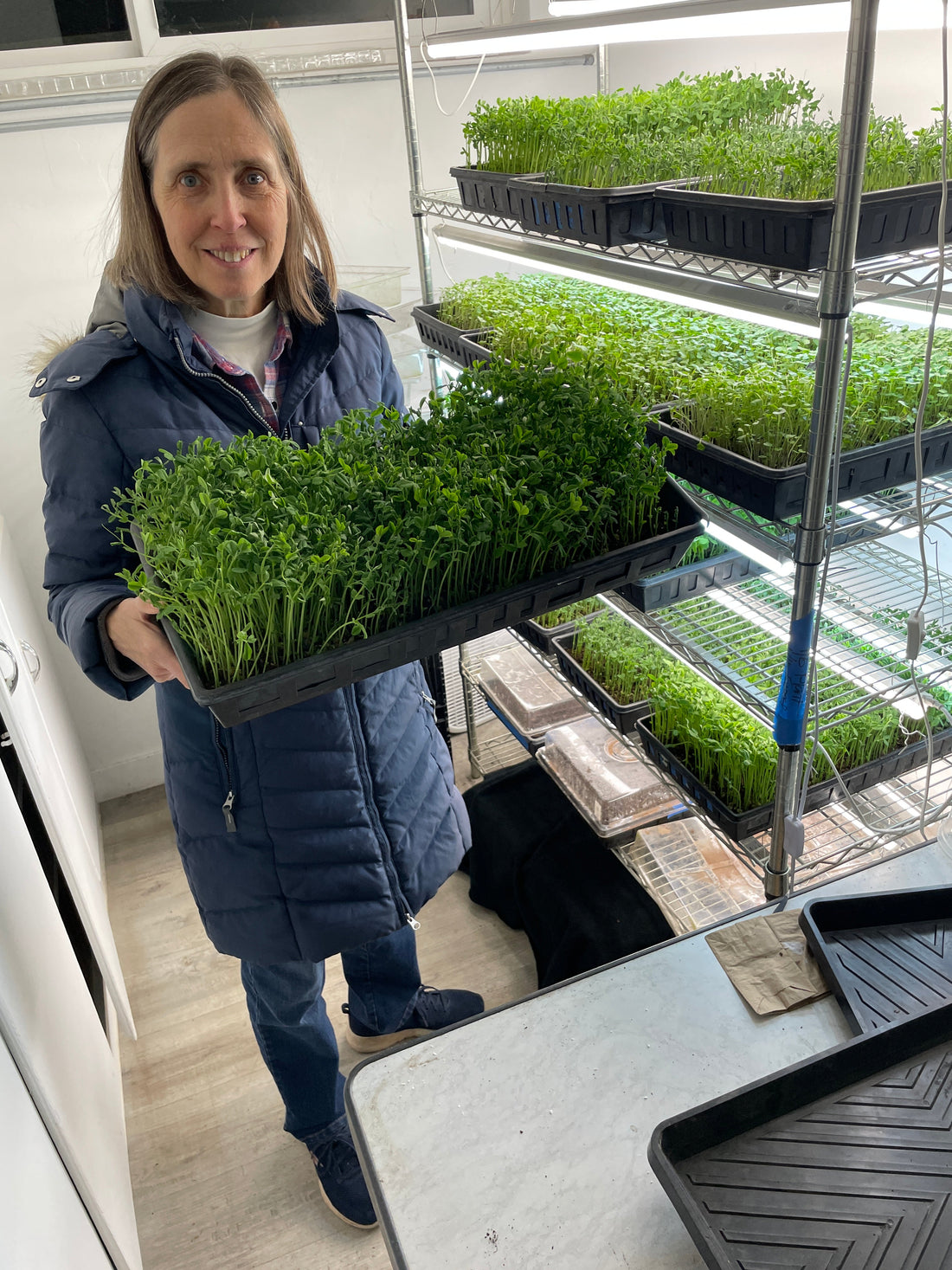 Faircrest Farms Harvest News - January 21, 2026