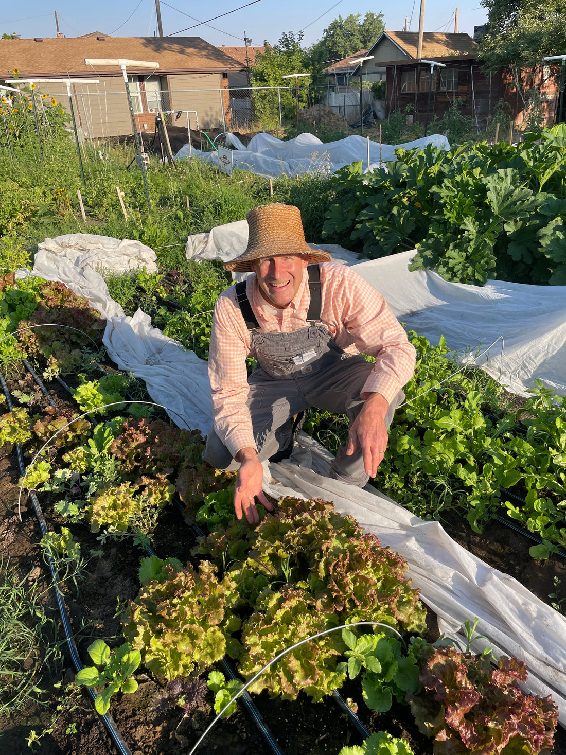 Faircrest Farms Harvest News - August 5, 2026
