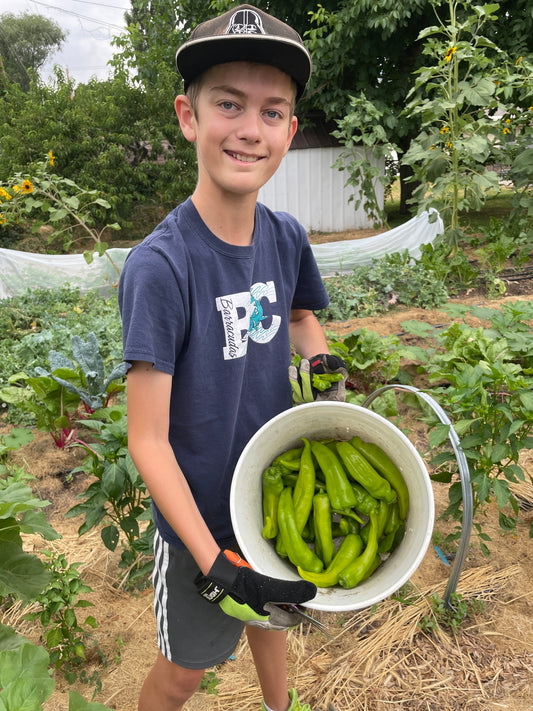 Faircrest Farms Harvest News - July 23, 2025