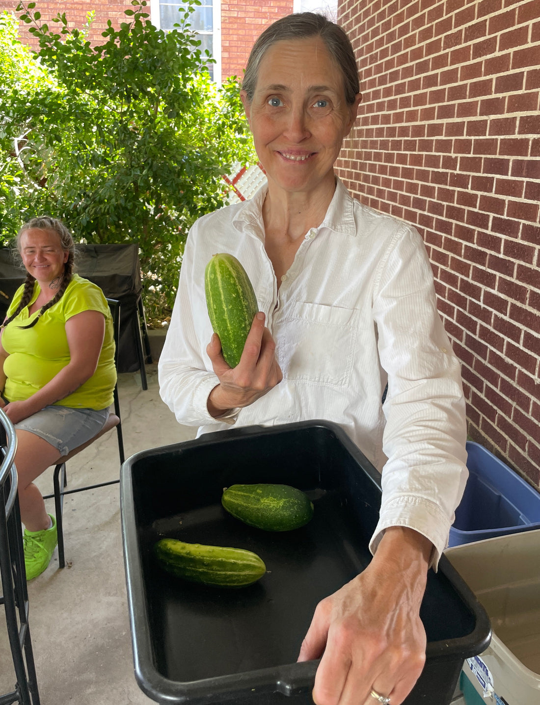 Faircrest Farms Harvest News - June 25, 2025