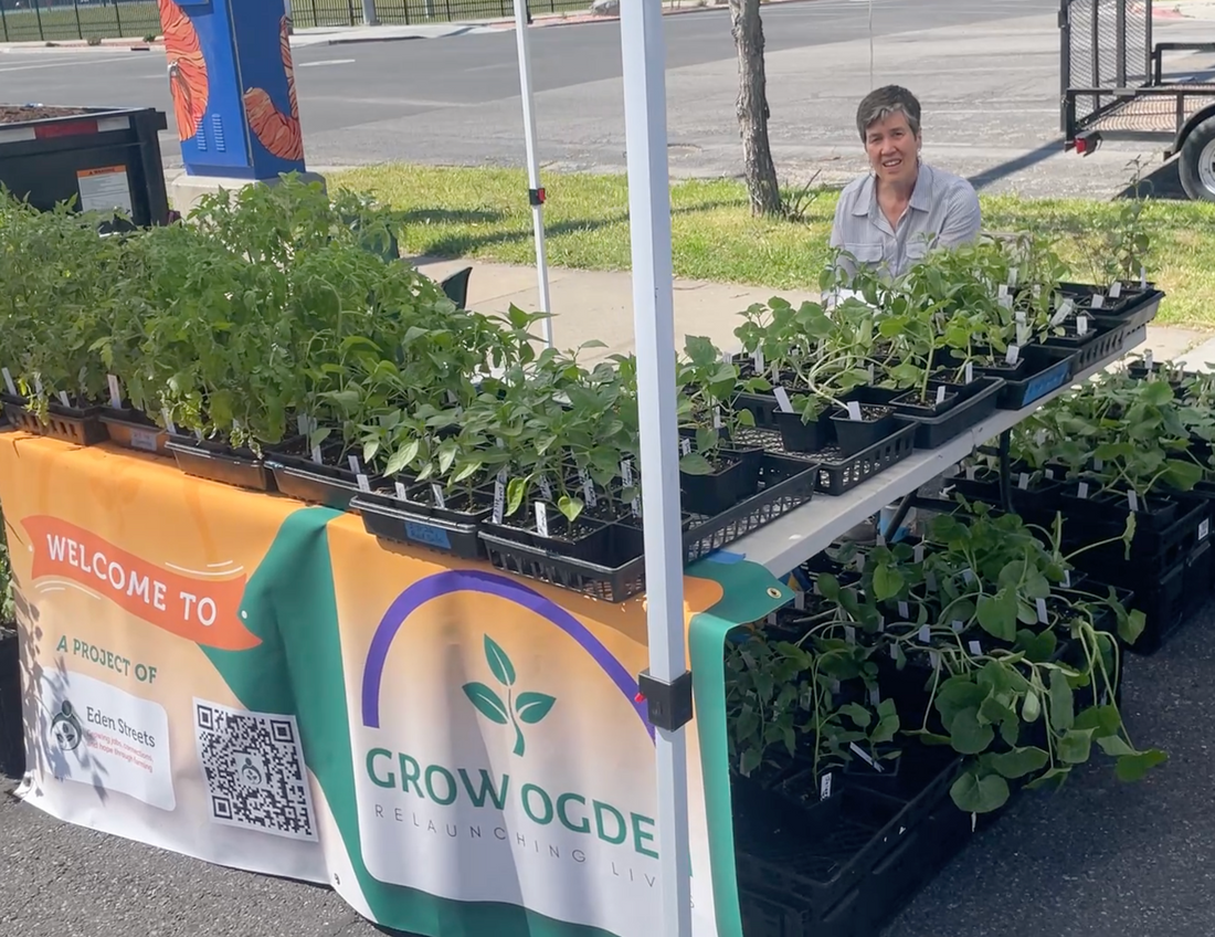 Faircrest Farms Harvest News - May 13, 2026