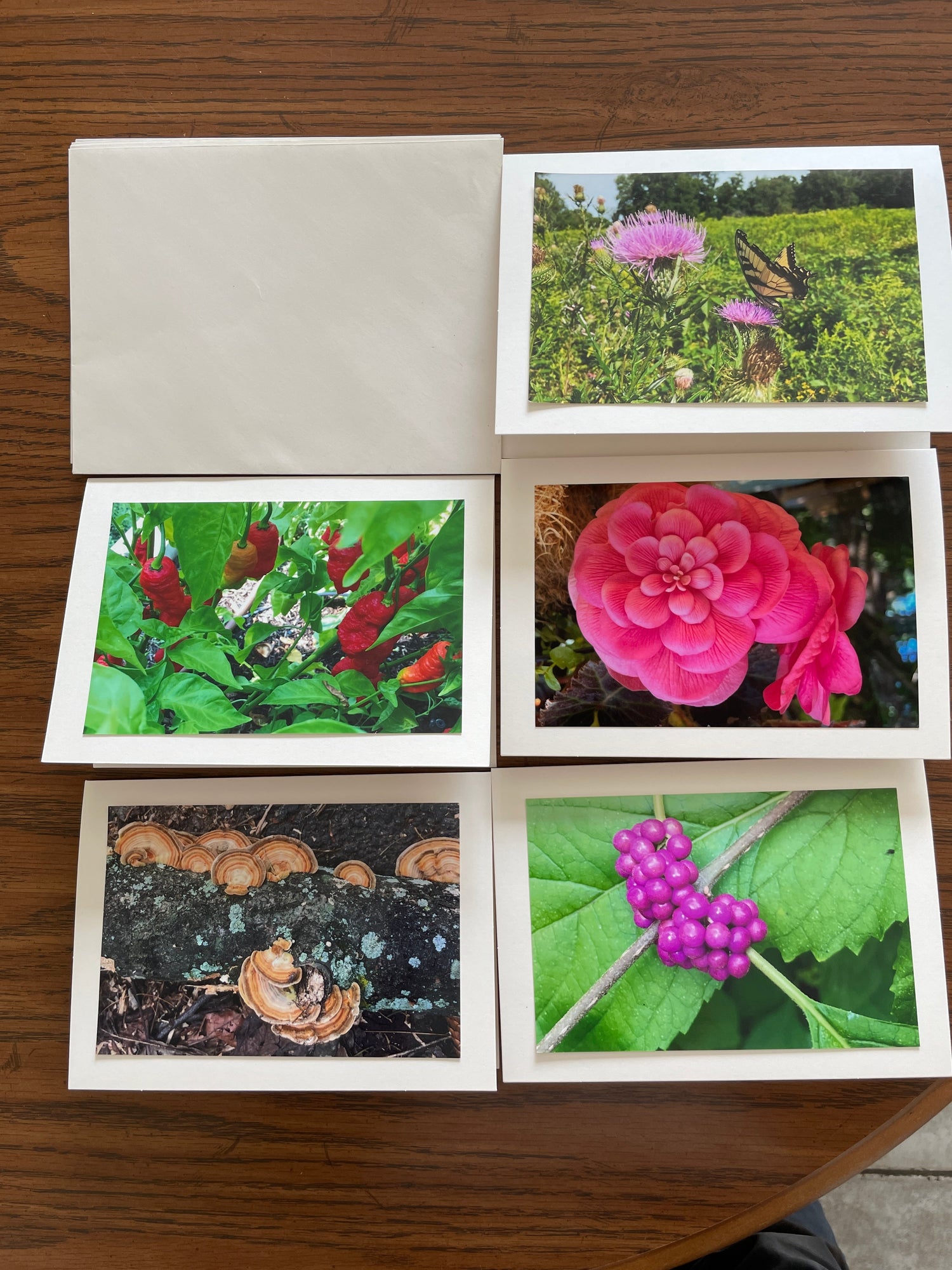 Nature-Inspired Cards