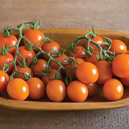 Tomatoes