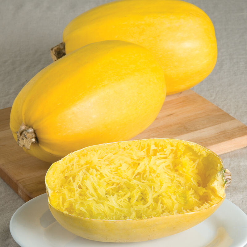 Squash (ea)