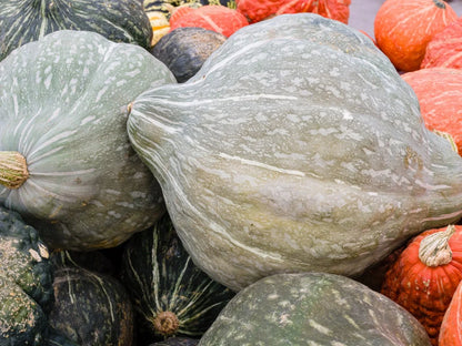 Squash (ea)