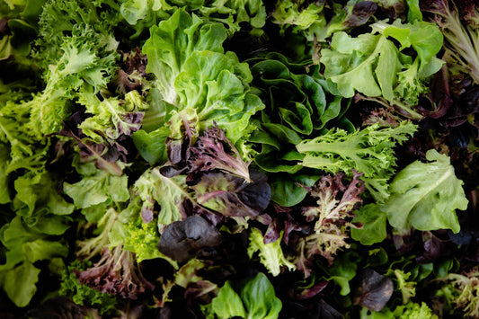 Salad Mixes (8 oz)