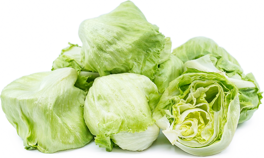 Lettuce (8 oz)