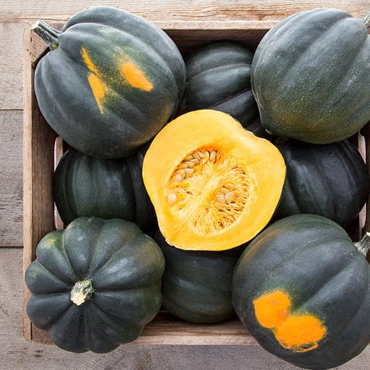 Squash (ea)