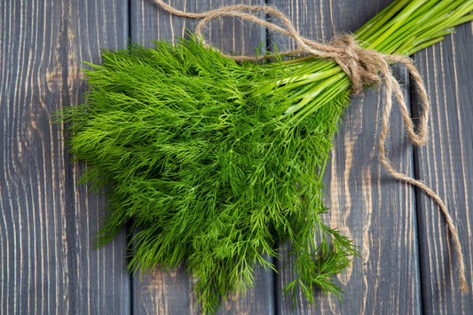 Dill (Leaves) (1 oz)