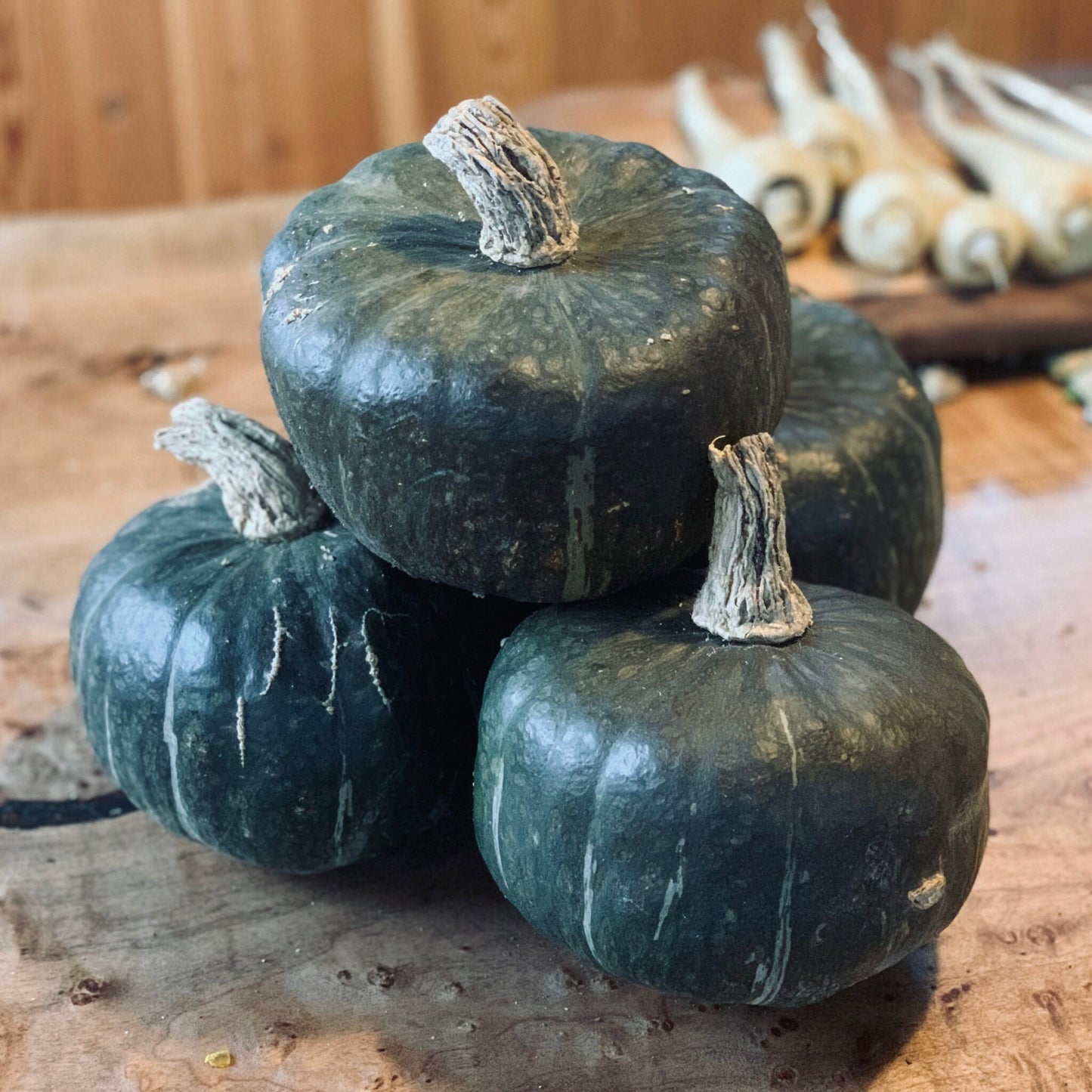 Squash (ea)