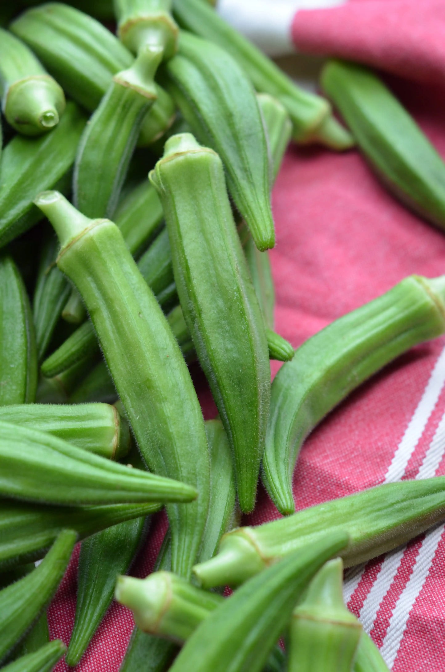 Okra (8 oz)