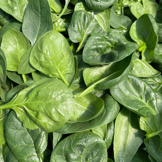 Spinach (8 oz)