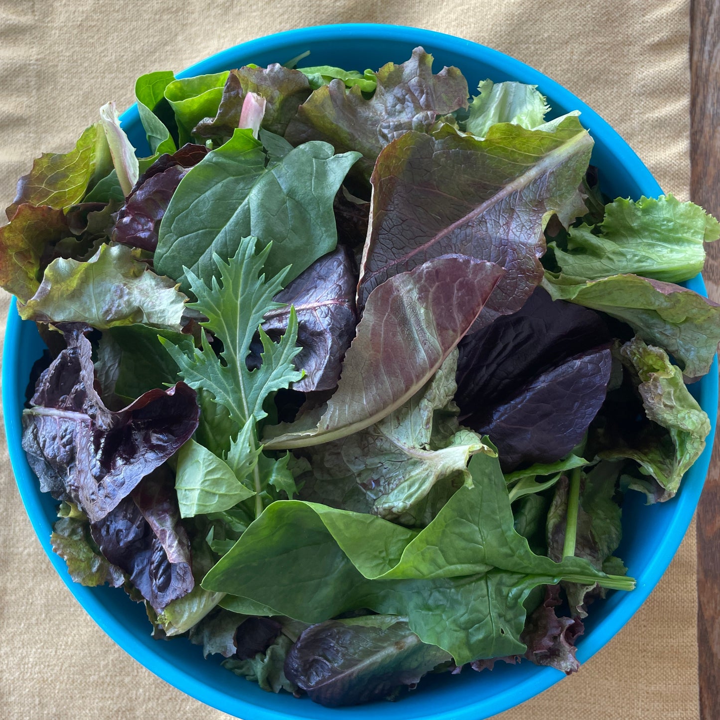 Salad Mixes (8 oz)