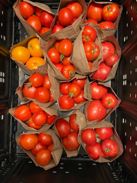 Tomatoes