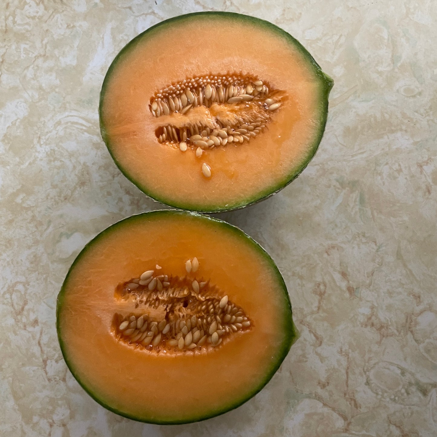 Cantaloupe (ea)- Charentais