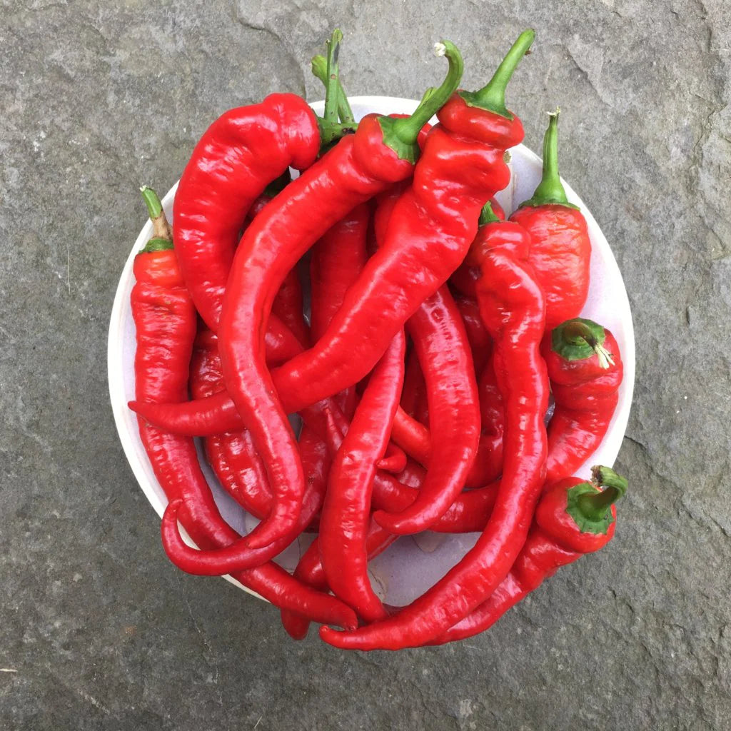 Jimmy Nardello peppers (8 oz)