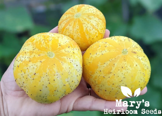 Lemon Cucumbers (ea)