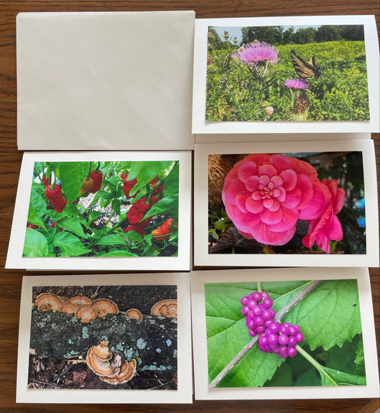 Nature-Inspired Greeting Cards