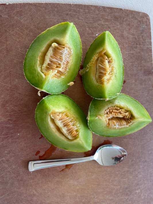 Green Nutmeg melon