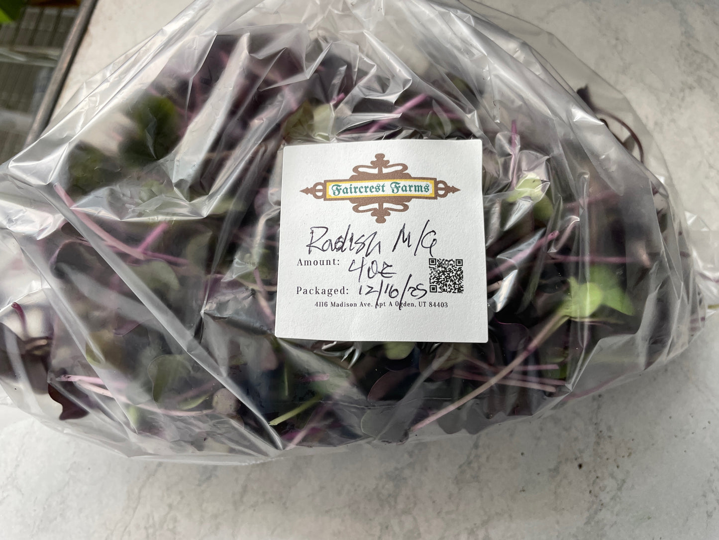 Radish Microgreens - (4 oz)