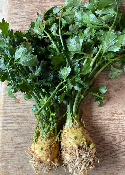 Celery Root (ea)